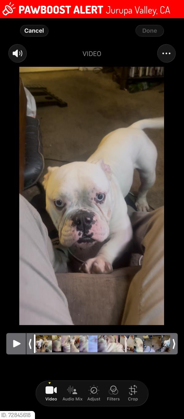Lost Male Other last seen Country village, Jurupa Valley, CA 91752