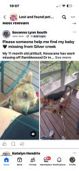 Reunited Male Dog last seen Ridgewood ests , Silver Creek, GA 30173