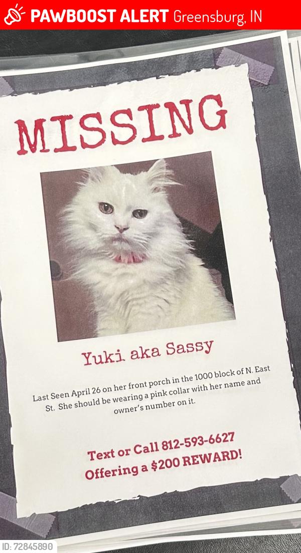 Lost Female Cat last seen East north street , Greensburg, IN 47240
