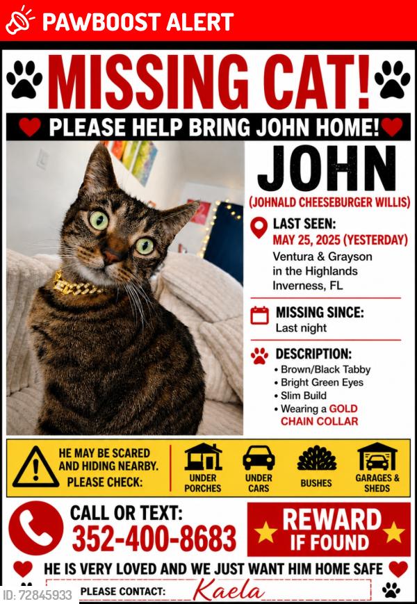 Lost Male Cat last seen Ventura and Grayson st, Inverness Highlands South, FL 34452