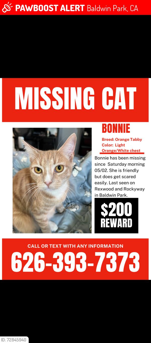 Lost Female Cat last seen Rockway , Baldwin Park, CA 91706