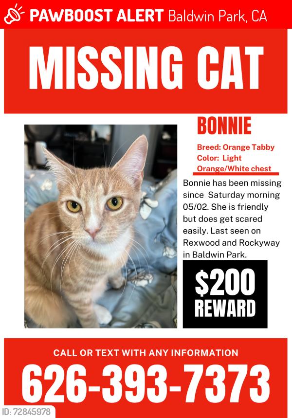 Lost Female Cat last seen Rockyway Ave, Baldwin Park, CA 91706