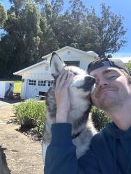 Lost Female Dog last seen Eucalyptus and Middle Two Rock Road, Petaluma, CA 94952