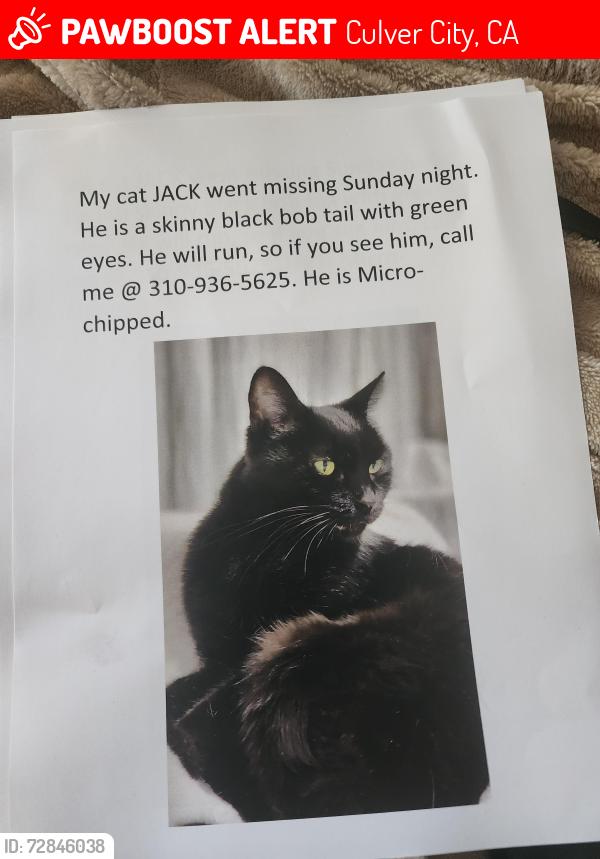Lost Male Cat last seen Farragut , Culver City, CA 90232