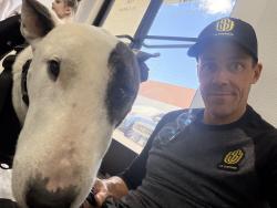 Lost Male Dog last seen Allegient Stadium , Las Vegas, NV 89118