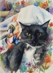 Lost Male Cat last seen off stadium dr, Phenix City, AL 36867