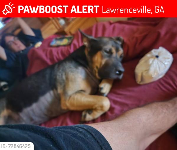 Lost Male Dog last seen Jenkins Elementary - Hosea / 29, Lawrenceville, GA 30046
