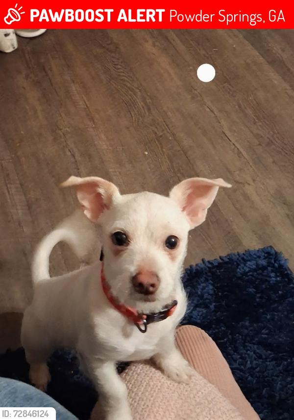 Lost Male Dog last seen Brownsville rd , Powder Springs, GA 30127