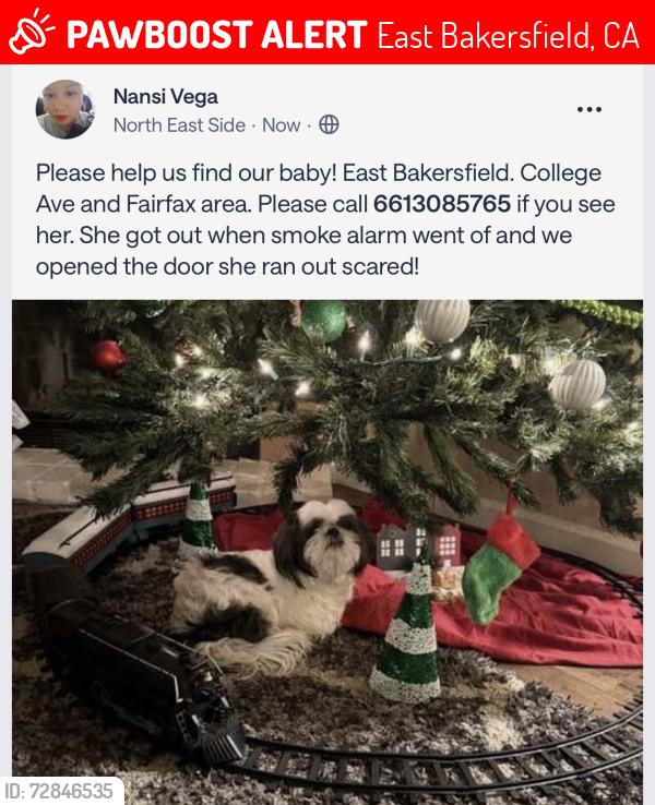 Lost Female Dog last seen Fairfax , East Bakersfield, CA 93305
