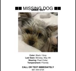 Lost Female Dog last seen Panama and akers, Bakersfield, CA 93313