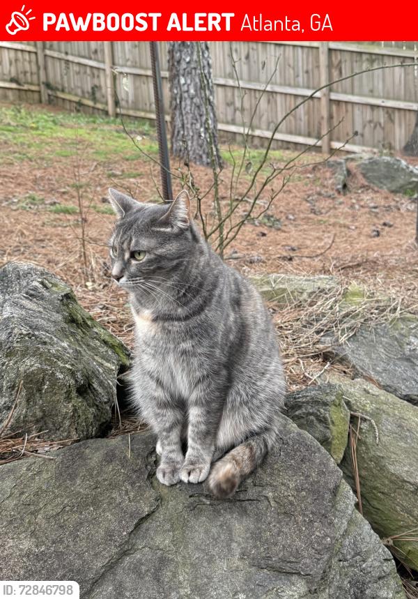 Lost Female Cat last seen Brannen and Fayetteville rd, Atlanta, GA 30316