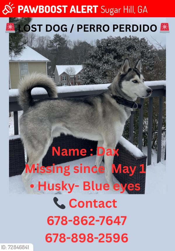 Lost Male Dog last seen Sycamore Rd Sugar Hill, GA  30518 United States, Sugar Hill, GA 30518