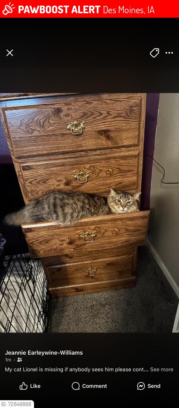 Lost Male Cat last seen Near highland park, Des Moines, IA 50313