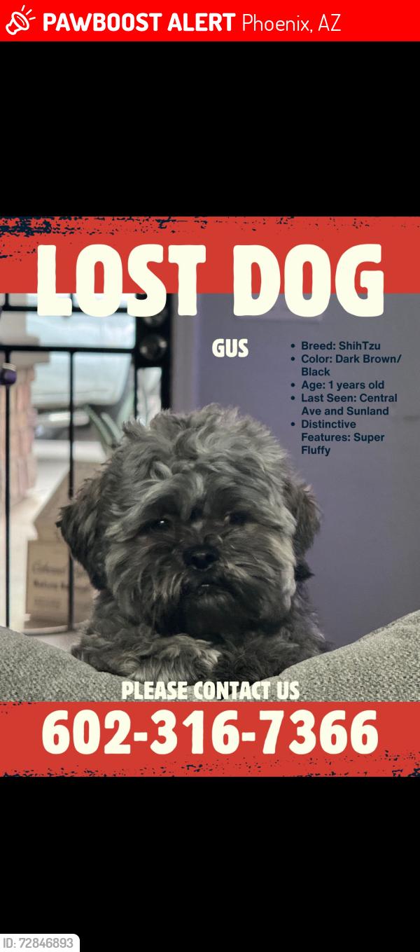Lost Male Dog last seen S Central and Sunland ave , Phoenix, AZ 85041