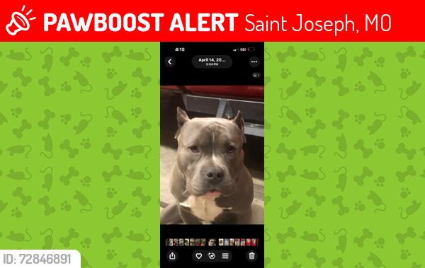 Lost Male Dog last seen Parker Road and 59 highway , Saint Joseph, MO 64504