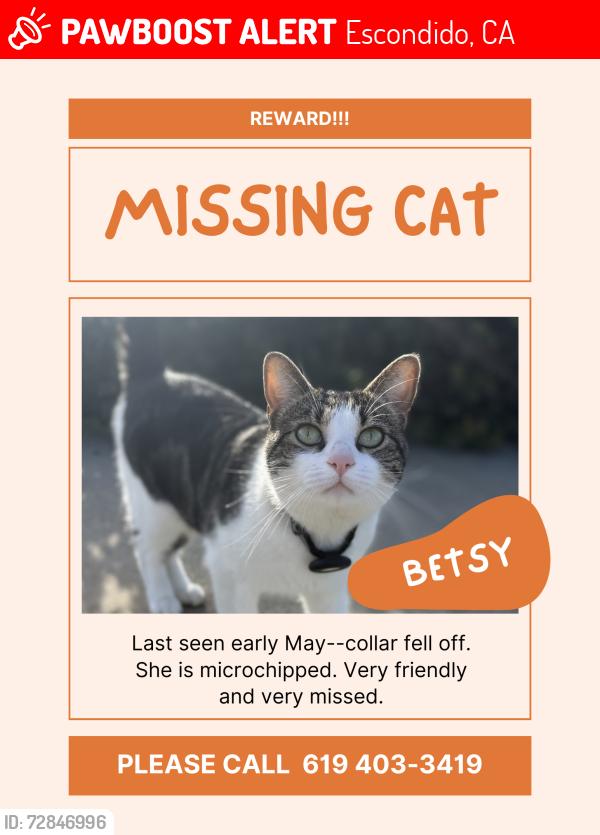Lost Female Cat last seen Vermel and patio s, Escondido, CA 92029