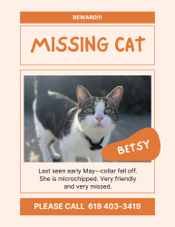 Lost Female Cat last seen Vermel and patio s, Escondido, CA 92029