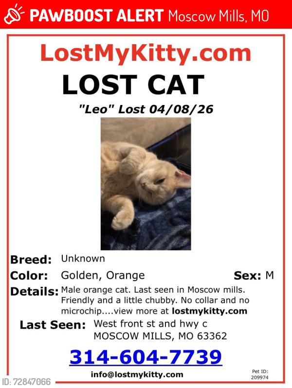 Lost Male Cat last seen W Front St and Hwy C, Moscow Mills, MO 63362