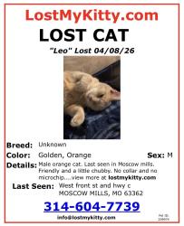 Lost Male Cat last seen W Front St and Hwy C, Moscow Mills, MO 63362