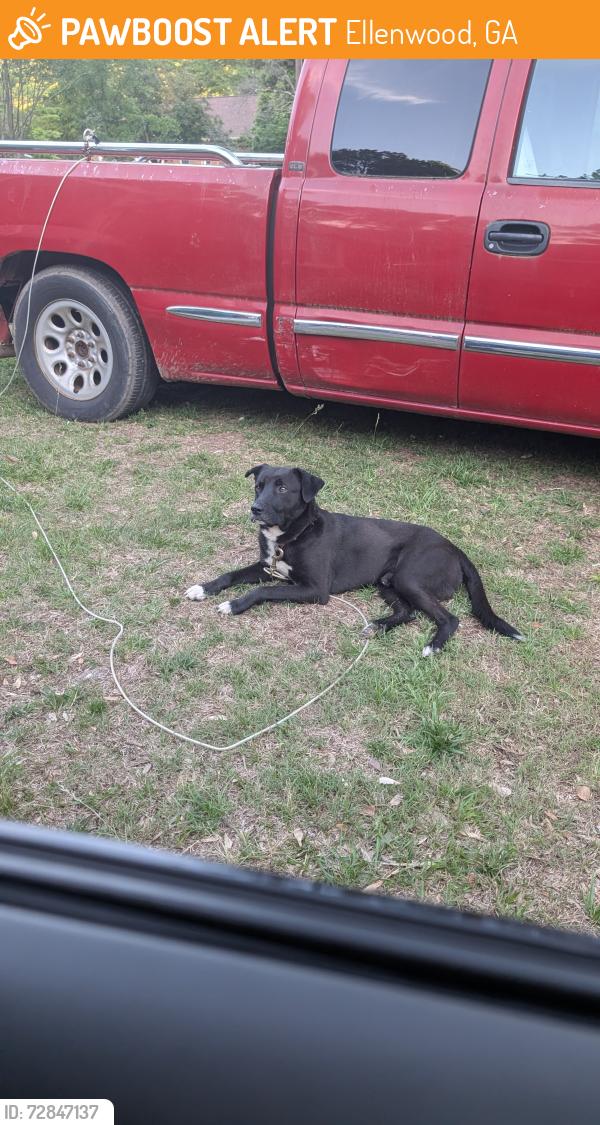 Found/Stray Male Dog last seen Stagecoach road, Ellenwood, GA 30294