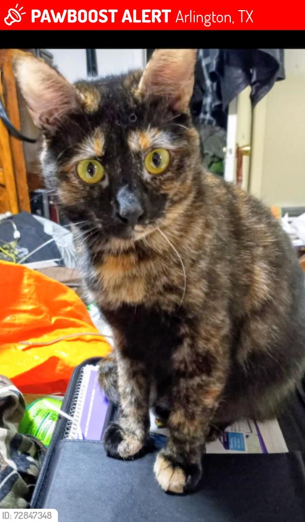 Lost Female Other last seen Blanton elementary school and n. Collins street, Arlington, TX 76010