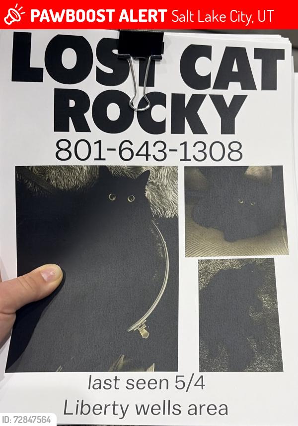 Lost Male Cat last seen Near E Bryan Avenue, Salt Lake City, UT 84115