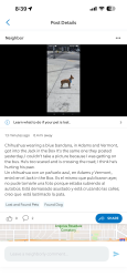 Found/Stray Male Dog last seen Vermont and adams, Los Angeles, CA 90007