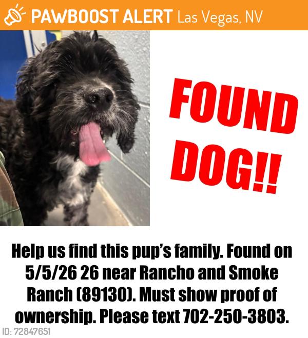Found/Stray Male Dog last seen Rancho & Smoke Ranch, Las Vegas, NV 89108