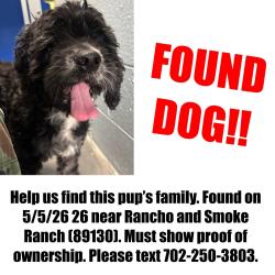 Found/Stray Male Dog last seen Rancho & Smoke Ranch, Las Vegas, NV 89108