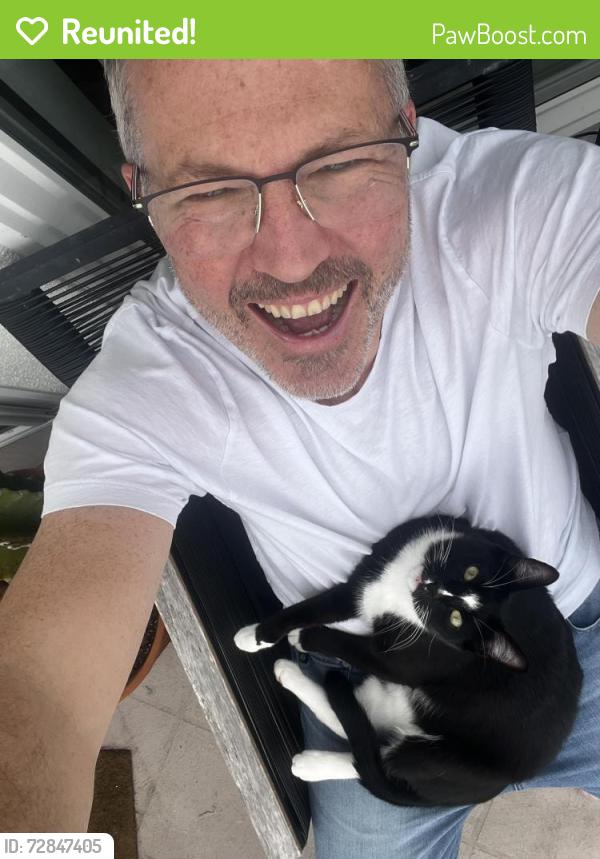 Reunited Male Cat last seen Via De La Valle and Solana Circle, Solana Beach, CA 92075