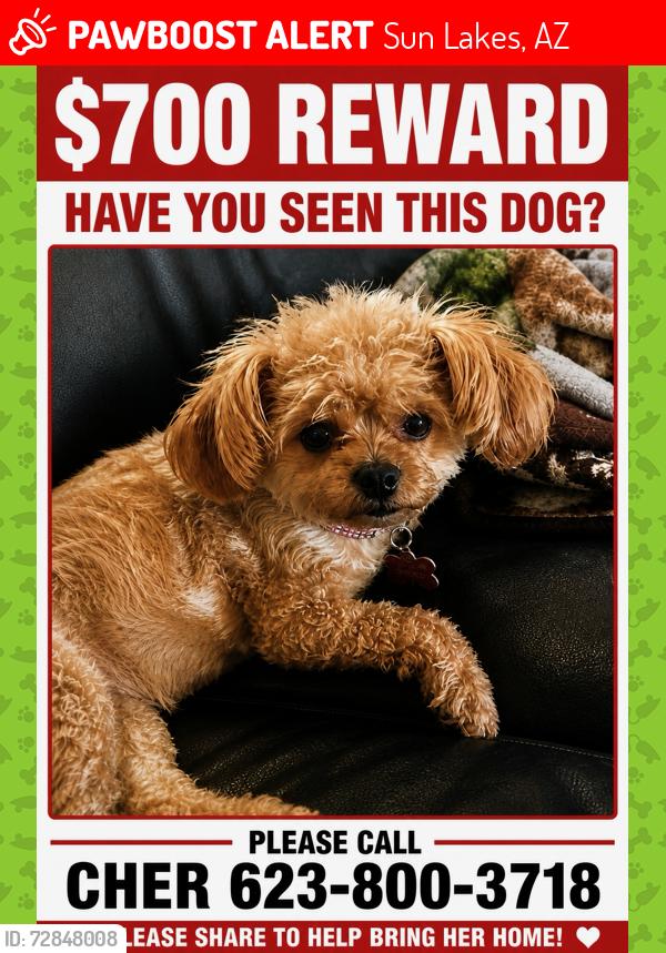 Lost Female Dog last seen Sun lakes blvd and Dobson, Sun Lakes, AZ 85248