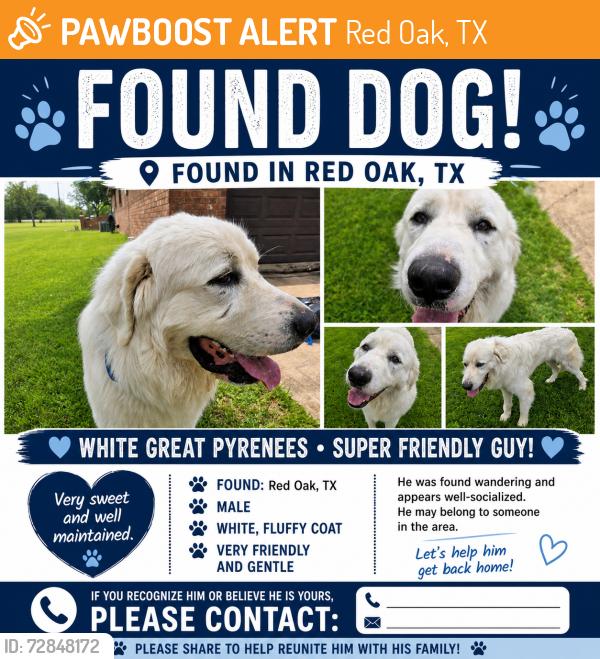 Found/Stray Male Dog last seen Pierce Road, Red Oak, TX 75154