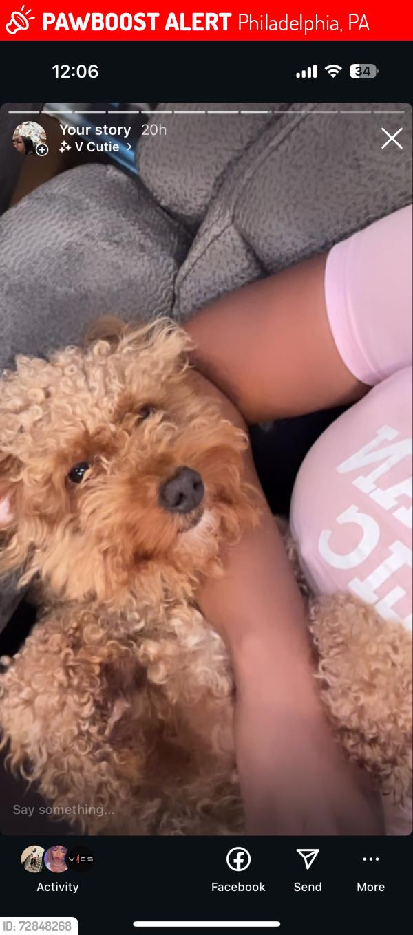Lost Male Dog last seen University hosps , Philadelphia, PA 19104
