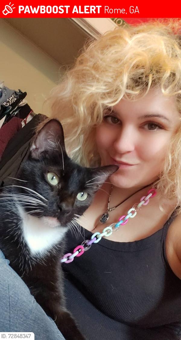 Lost Male Cat last seen 2-3 miles down Burnett ferry coming from shorter Ave , Rome, GA 30165