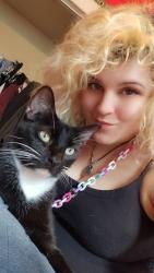 Lost Male Cat last seen 2-3 miles down Burnett ferry coming from shorter Ave , Rome, GA 30165