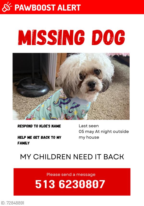 Lost Female Dog last seen Near bellune de, Springfield Township, OH 45231