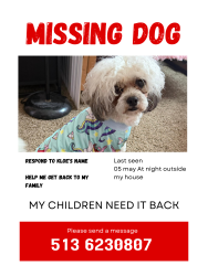Lost Female Dog last seen Near bellune de, Springfield Township, OH 45231