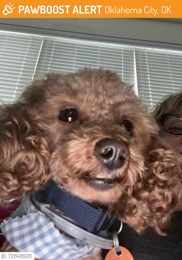 Found/Stray Male Dog last seen Sequoyah drive, Oklahoma City, OK 73013