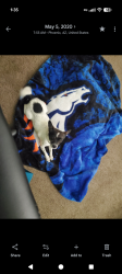 Lost Male Dog last seen Allen Ranches , Litchfield Park, AZ 85340