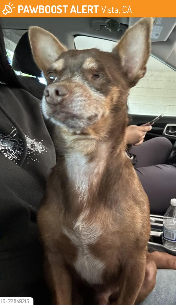 Found/Stray Male Dog last seen On the road, Vista, CA 92084