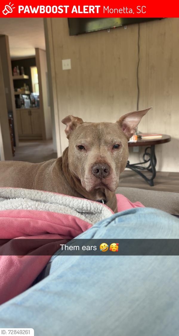 Lost Male Dog last seen Wire road, Monetta, SC 29105