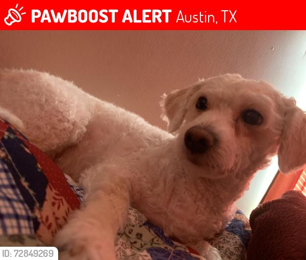 Lost Female Dog last seen east william cannon , Austin, TX 78744