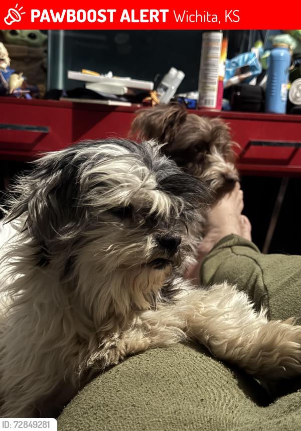 Lost Male Dog last seen 24th street north, Wichita, KS 67204