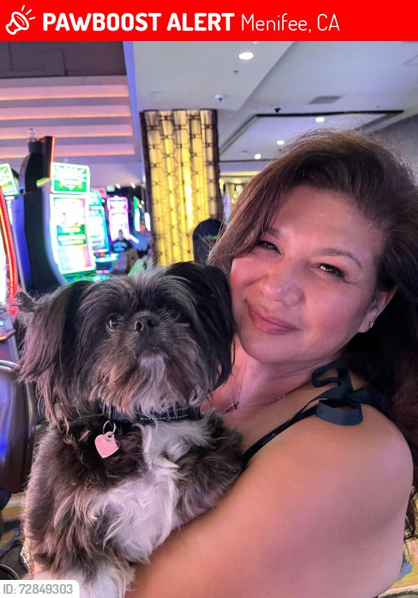 Lost Female Dog last seen Newport and Menifee Rd, Menifee, CA 92584