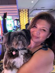 Lost Female Dog last seen Newport and Menifee Rd, Menifee, CA 92584