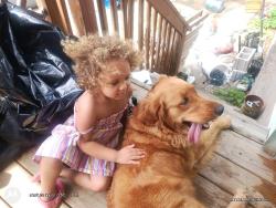 Lost Female Dog last seen Clover is to the right of this hse echols is behind the hse, Pittsburgh, PA 15210