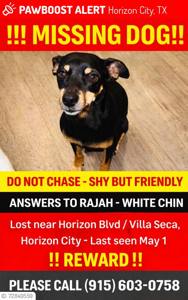 Lost Male Dog last seen Villa Seca , Horizon City, TX 79928
