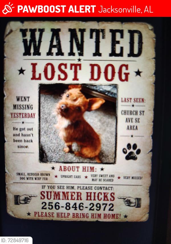 Lost Male Dog last seen EMS Bldg, Dr. Festoks office, Jacksonville, AL 36265