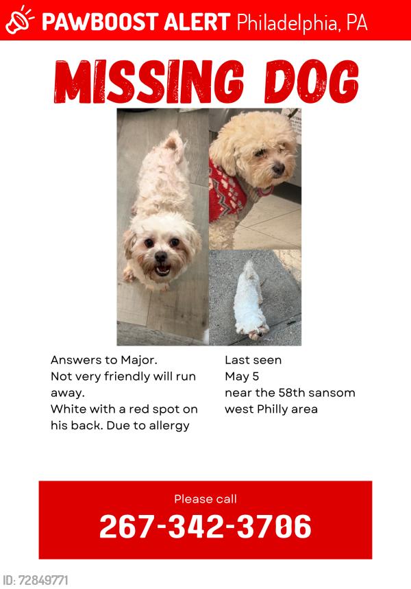 Lost Male Dog last seen Near chestnut st, Philadelphia, PA 19139