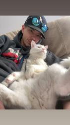 Lost Male Cat last seen in our backyard, Edmonton, AB T5Y 3V1